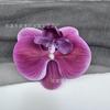 Pinza para el pelo de una sola cabeza con simulación de Phalaenopsis 3D, estilo europeo, con forma de mariposa y flor, accesorios para el pelo, tocado DIY, pinza de pico de pato, pinza lateral