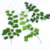 Helecho de hierro hojas reales repujado funda para teléfono móvil pintura repujada espécimen de planta flor seca marcapáginas decoración facial flor seca