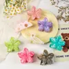 Outono e Inverno de 2025 Conjunto Colorido Popular Grampo de Cabelo Simples para Mulheres Parte de Trás da Cabeça Presilha Tubarão de Alta Qualidade Acessório de Cabelo