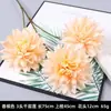 Serie de Flores de Tira Color Champán Seda Artificial de Boda Niebla Phalaenopsis Arco de Salón de Bodas Ramo de Decoración Falsa Dropshipping