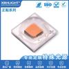 XML2-5050 Luz Dorada 8W cuentas de lámpara cerámicas de alta potencia Linterna lámpara luz lámpara luz solar luz del atardecer fuente de luz