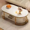 Mesa de centro ovalada de doble capa, simple y creativa, para sala de estar, uso doméstico, adecuada para apartamentos de alquiler y espacios pequeños