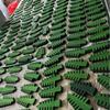 Acessórios para flores de papel, árvore de Natal, brinquedo científico, experimento, pequena produção, reagente químico, acessórios, tingimento, árvore de Natal