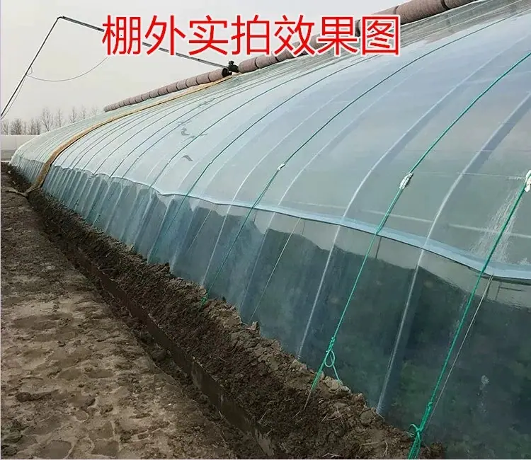 棚外效果图