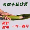 Tamales de Arroz en Tubo de Bambú Fresco, Tubo de Bambú para Puesto Doméstico Comercial, Tubo de Bambú Tipo Pistón para Cocinar al Vapor Arroz, Moldes para Tamales de Arroz en Tubo de Bambú