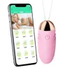 Sexo Transfronterizo en el Cuerpo, Control Remoto para Uso al Aire Libre, Rebote de Vibración Fuerte, Juguete para el Orgasmo Femenino, Juguete Sexual para Adultos