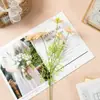 Estilo Pastoral 5 Cabezas Hierba Negra Flor Artificial Tela de Seda Planta Verde Accesorio Decorativo Fotografía Mesa Arreglo Estilo Nórdico
