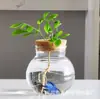 Atacado do Fabricante Garrafa de Vidro Hidropônico Vidro de Alto Borossilicato Micro Paisagem Garrafa Ecológica Paisagismo de Plantas Garrafa Redonda Pote com Vedação