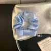 Elegante y Sencillo Lazo de Satín para el Cabello para Mujer, Versátil y Exquisito con un Toque de Lujo, Coletero para Coleta Accesorio para el Cabello