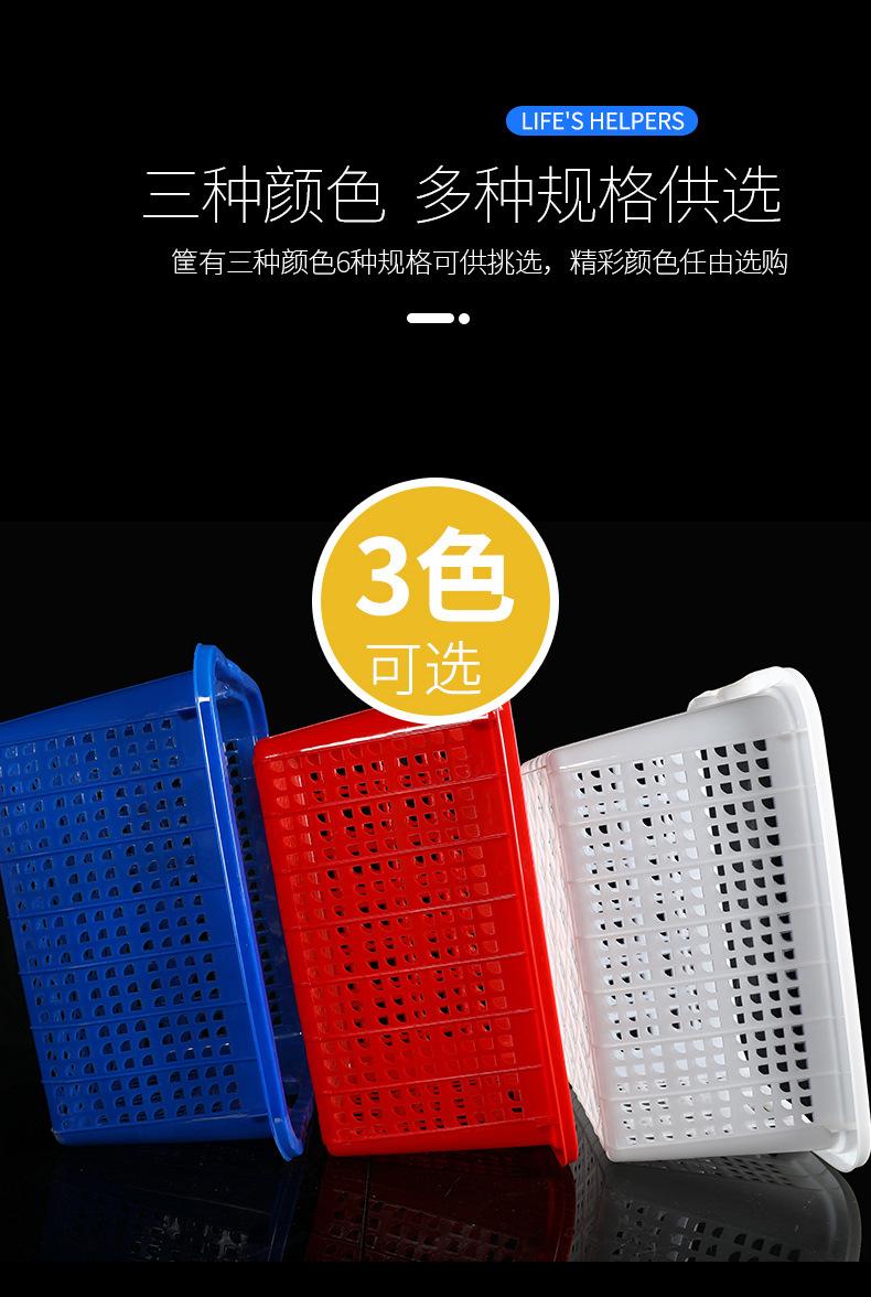 塑料 _09.jpg