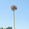 Flores de Cebolleta de Tallo Único, Pompones de Diente de León, Decoración del Hogar para Habitaciones Modelo, Accesorios de Decoración de Bodas, Flores Artificiales, Flores Falsas