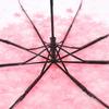 Atacado Guarda-chuva Transparente Manual Pvc 70% de Desconto Guarda-chuva Feminino Estudante Dobrável Guarda-chuva Simples Pode Imprimir Logo de Publicidade