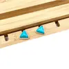 Pendientes de turquesa nuevos europeos y americanos para mujer, estilo retro popular, aleación, estilo bohemio, pendientes personalizados al por mayor