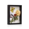 Marco de Fotos Estéreo Hueco de 3/5CM para Especímenes diy Hecho a Mano de Mesa Mariposa Concha Flor Seca Conservación Exhibición Marco de Fotos