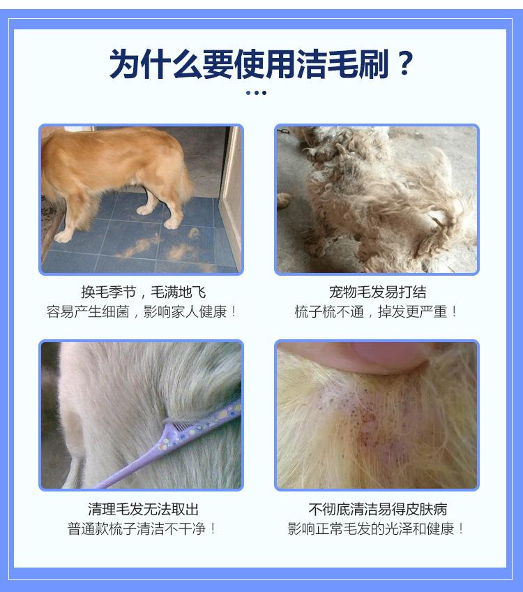 8150宠物狗梳子_05.jpg