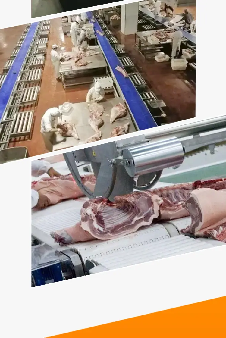 肉类屠宰分割线_06.jpg