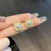 Lote Misto Brincos Populares para Mulheres, Brincos de Luxo de Alta Qualidade, Mesmo Estilo do Tiktok, Versão Coreana, Brincos de Flor de Pérola, Nicho e Versátil