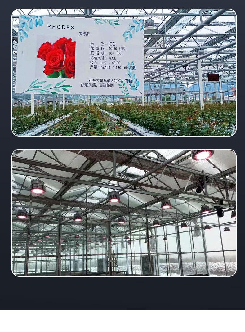 工矿灯_06.jpg