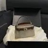 Bolso de mujer de alta gama de nicho, bolso de hombro cruzado de moda vintage de verano 2025, bolso de mano popular de lujo ligero