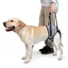 As órteses de suporte para as patas traseiras são adequadas para cães grandes para auxiliar cães idosos com patas traseiras fracas, deficientes ou lesionadas em sua recuperação.