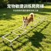 Escalera de Escalada para Entrenamiento de Agilidad Canina, Escalera de Obstáculos Físicos, Fácil de Guardar, Escalera de Equilibrio para Entrenamiento, Equipo de Entrenamiento para Perros