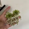 O Mágico de Oz Atmosfera de Floresta Brincos de Flor com Contas Femininos Estilo Resort de Praia Primavera e Verão Brincos de Tarraxa Exagerados