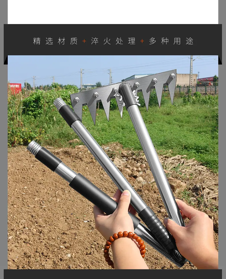 xq_08.jpg