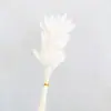 Pequeña Cola de Conejo de Caña Hierba Flor Inmortal Ramo DIY Producto Terminado Decoración Flor Real Adornos de Instagram Hierba de la Pampa Flores Secas Transfronterizo