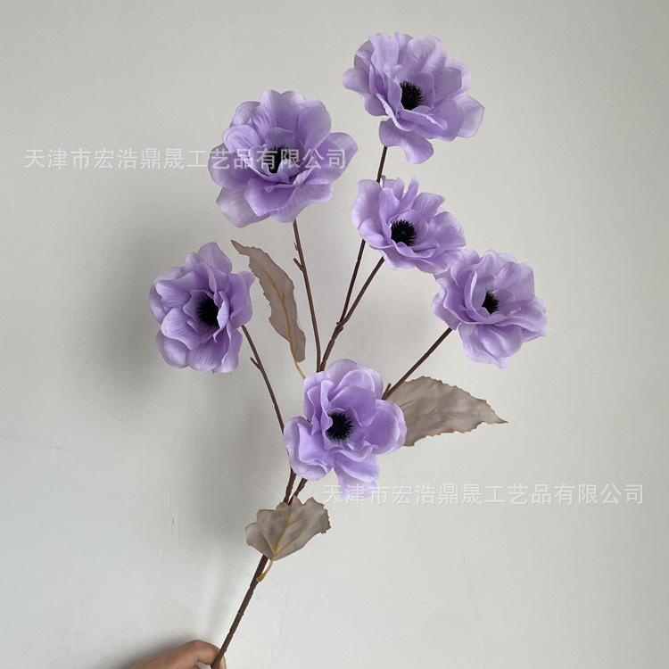 微信图片_202210051722579_副本