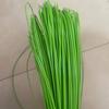 Cesta redonda de plástico de ratán completamente nueva, sólida, 2.4, material tejido, tira de plástico hecha a mano para bricolaje