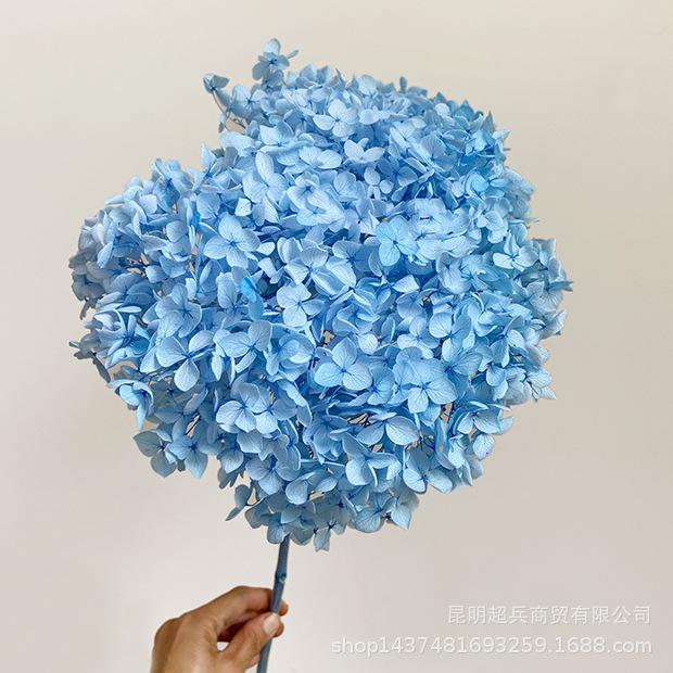 QQ图片20200806133209.jpg
