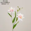 An Xu Lírio de Pétalas Duplas Decoração Buquê de Casamento Parede de Flores de Rosa Flor Artificial INS Transfronteiriço Flor de Simulação Fabricante Casa