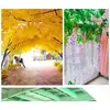 Folhas de figueira, plástico com revestimento de cola, galhos de figueira, folhas de plantas verdes, galhos de árvores artificiais, modelagem de decoração de engenharia