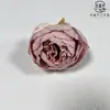 Estoque Disponível Fornecimento Cabeça de Flor de Peônia 9cm Decoração de Caixa de Presente DIY Transfronteiriça Parede de Flores de Casamento Decoração de Fotografia Doméstica