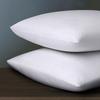 Chishun Transfronterizo ebay Amazon Paquete de 2 Fundas de almohada lijadoras de color sólido multicolor Fundas de almohada Kit de Comercio Exterior