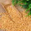 Vainas de guisante peladas de cosecha nueva premium, Vainas de guisante peladas frescas cultivadas en granja, Semillas de guisante, Ingredientes para pastel de guisante, Granos integrales nutritivos