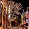 Decoraciones de Año Nuevo Luces de Cadena Luces Intermitentes Gypsophila Colgando en el Árbol Cadenas de Luces Tiras de Luces LED Luces de Neón a Prueba de Congelación Otros Peces Dorados