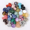 Venta al por mayor transfronteriza 2 cm Hongo de Cristal Natural Ágata Jade Piedra Bruta Espécimen Mineral Decoración de Micro paisajismo Adorno