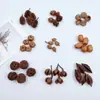 Fruta Seca Natural Planta Fruta Cáscara Especimen Material Decoración Rodajas de Flores Secas Paquete de Materiales Navideños DIY para Jardín de Infancia