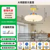 Lámpara de Techo Lámpara de Dormitorio Lámpara para Habitación Infantil Memphis 2026 Estilo Nuevo Cálida Protección Ocular Lámpara para Dormitorio Principal Estudio Comedor 412L