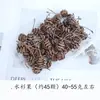 Kit de Materiales DIY de Flor Seca para Aromaterapia sin Fuego, Piñas Secadas al Aire, Canela, Ornamentos de Fragancia Natural de Planta Hechos a Mano para Decoración