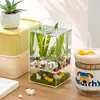 Acuario, Tanque para Peces Betta, Tanque Pequeño para Camarones, Tanque Cuadrado de Plástico Ultra Transparente para Escritorio de Oficina, Imitación de Vidrio, Tanque de Paisajismo