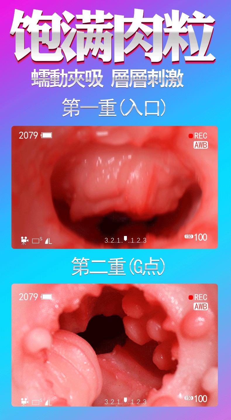 5.gif