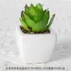 Suculentas Simuladas Personalizadas Cerámica Bonsái Plantas Verdes Escandinavas Adornos Hogar Interior Sala de Estar Flores Falsas Suculentas Plantas en Maceta