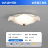 Luminária de Teto para Quarto 2025 Moderna Simples Acessível Luxo High-End Espectro Completo Proteção para os Olhos Resina Luminária para Quarto Principal