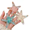 Pinza para el pelo de estrella de mar estéreo dulce y genial estilo coreano clip de pico de pato para vacaciones en la playa clip lateral para flequillo de chica dulce