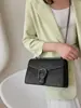 Bolsas Femininas de Nicho de Alto Padrão 2026 Nova Tendência Bolsa Dionysus Bolsa de Corrente da Celebridade da Internet Versátil Corrente Bolsa Quadrada Pequena