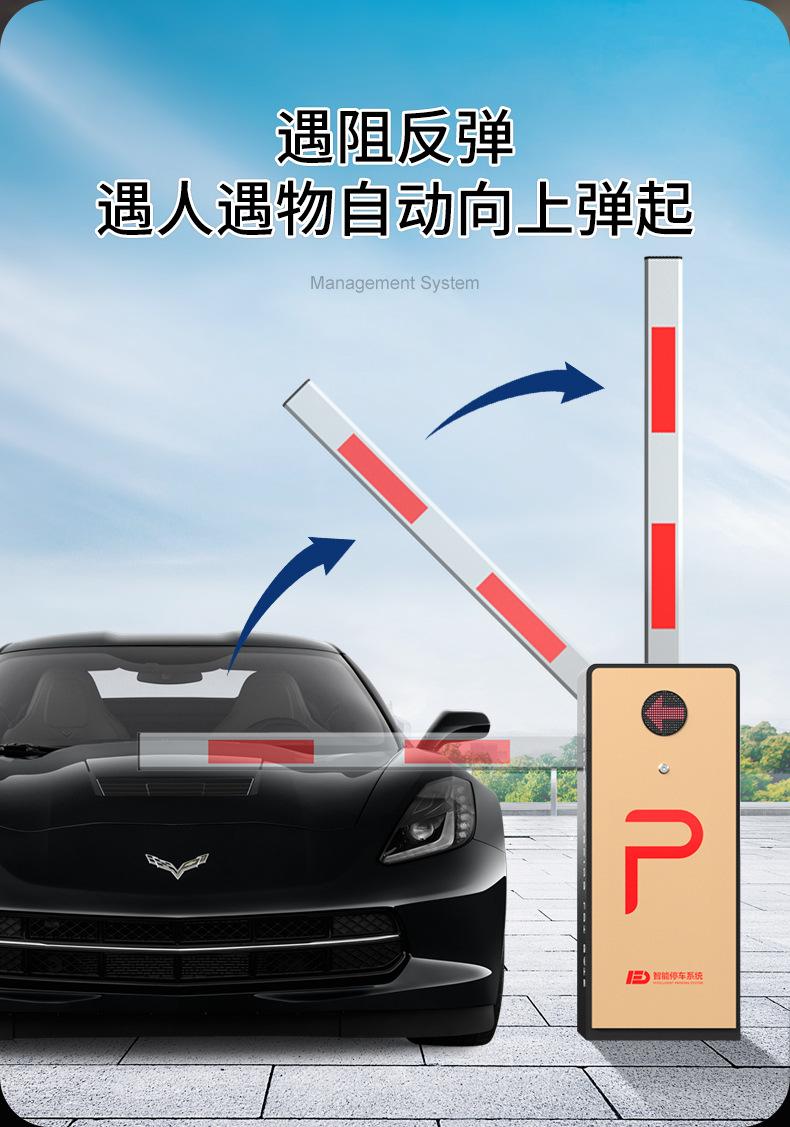 车牌识别详情新款金色_10