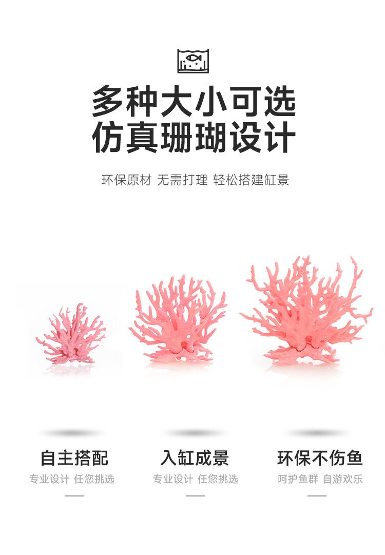 详情_03.jpg