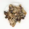 Tiras de Cogumelo de Dorso Branco, Primeira Colheita, 500g, Especial para Sopa de Macarrão com Caracol, Adequado para Uso Doméstico e Comercial, Direto do Fabricante, Atacado, Feito Sob Medida, Oem